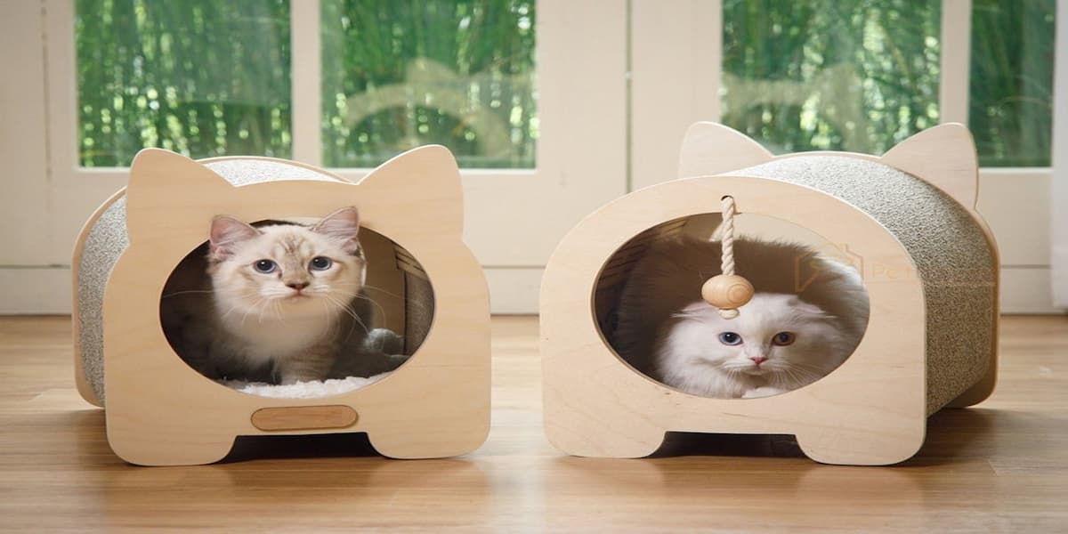 4 cách làm nhà cho mèo cực đơn giản tại nhà