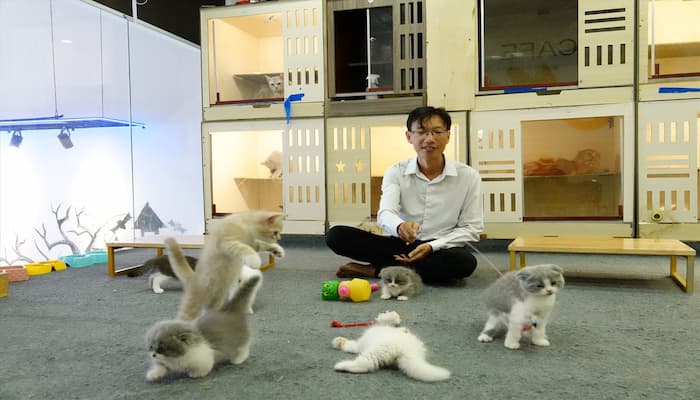cà phê mèo tại cần thơ