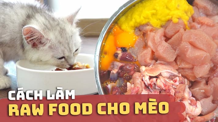 cách làm thức ăn raw cho mèo từ thịt gà và trứng