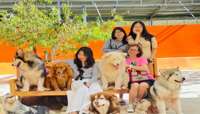 nông trại cún puppy farm tại đà lạt