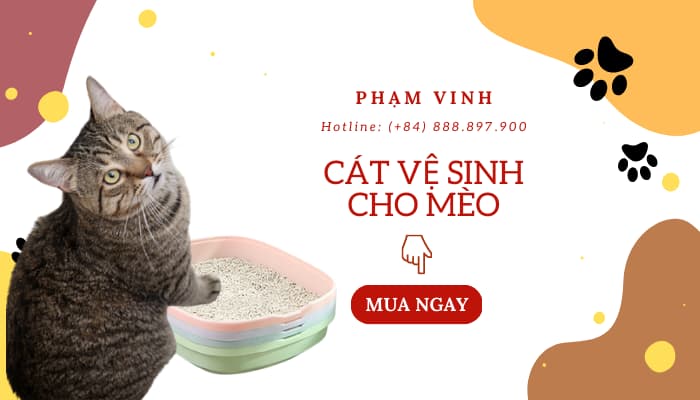 phạm vinh là địa chỉ mua cát vệ sinh cho mèo uy tín
